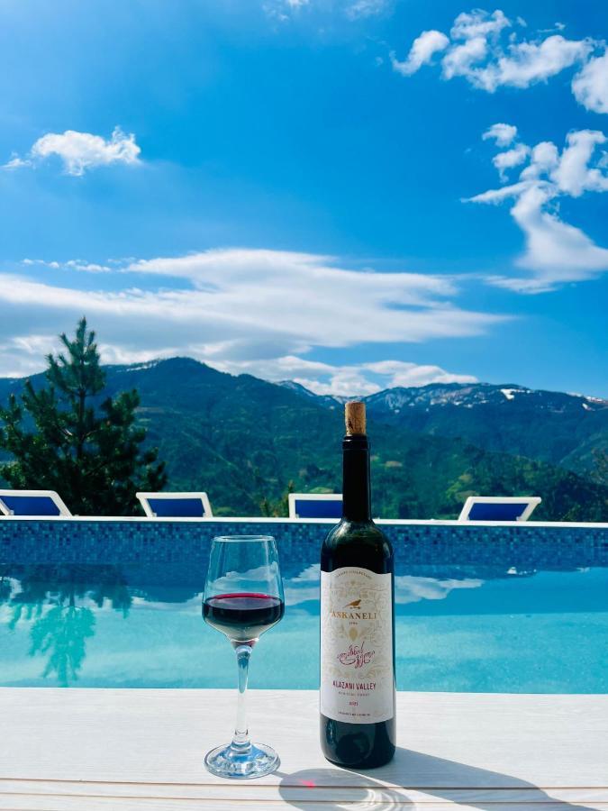Paradise Inn Gegelidzeebi Kültér fotó