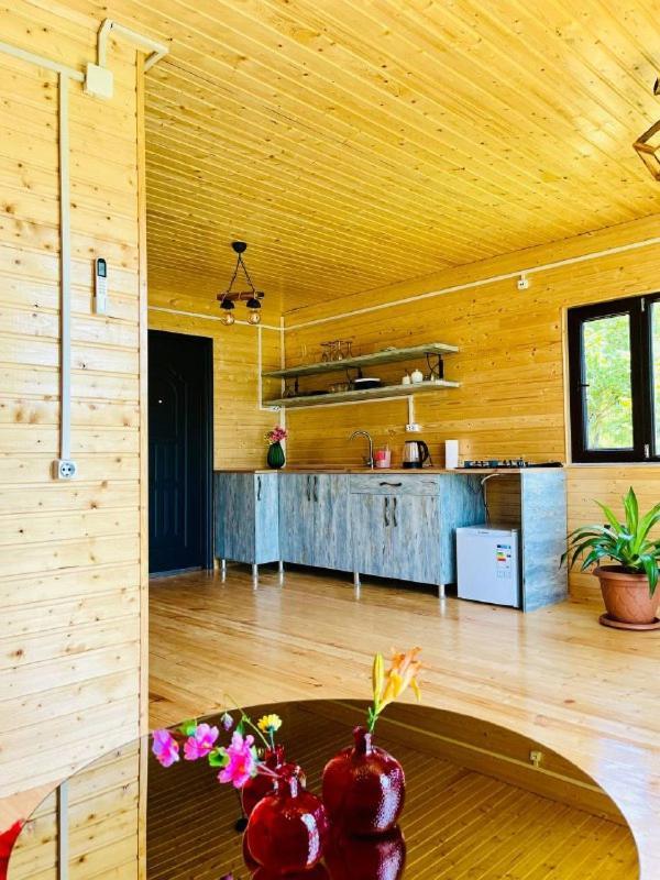 Paradise Inn Gegelidzeebi Kültér fotó
